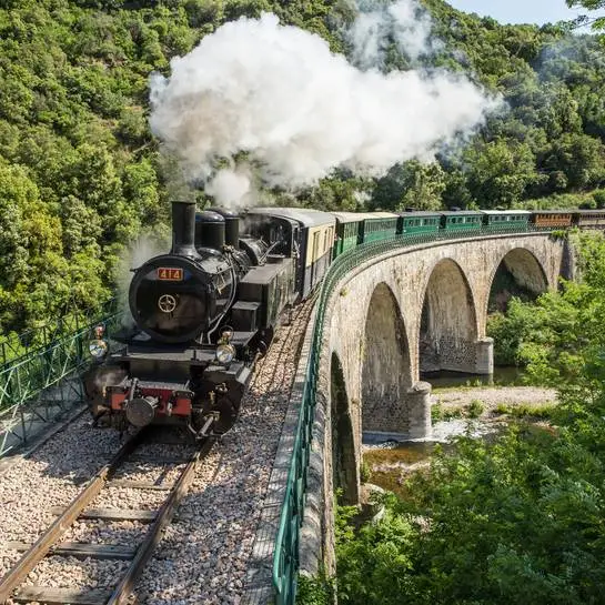 The Mastrou steam train crossing a viaduct in the Gorges du Doux